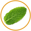 menta