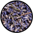 Lavanda lavanda