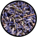 Lavanda lavanda