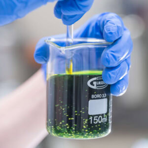 ovotaris proizvodnja