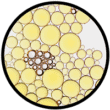 Piroctone olamine piroctone olamine