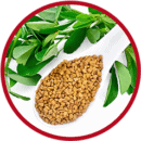 Piskavica piskavica