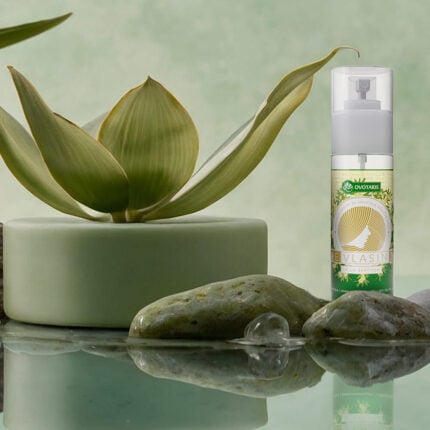 revlasin serum bocica