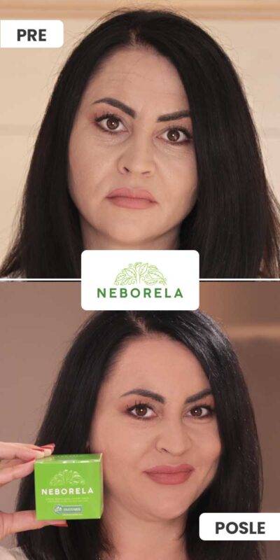neborela-iskustvo-silvija