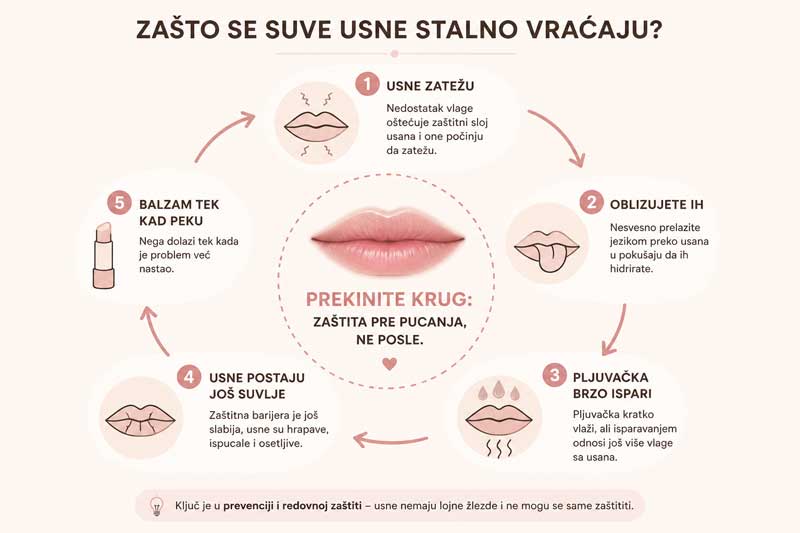 uzroci suvih usana uzroci suvih usana
